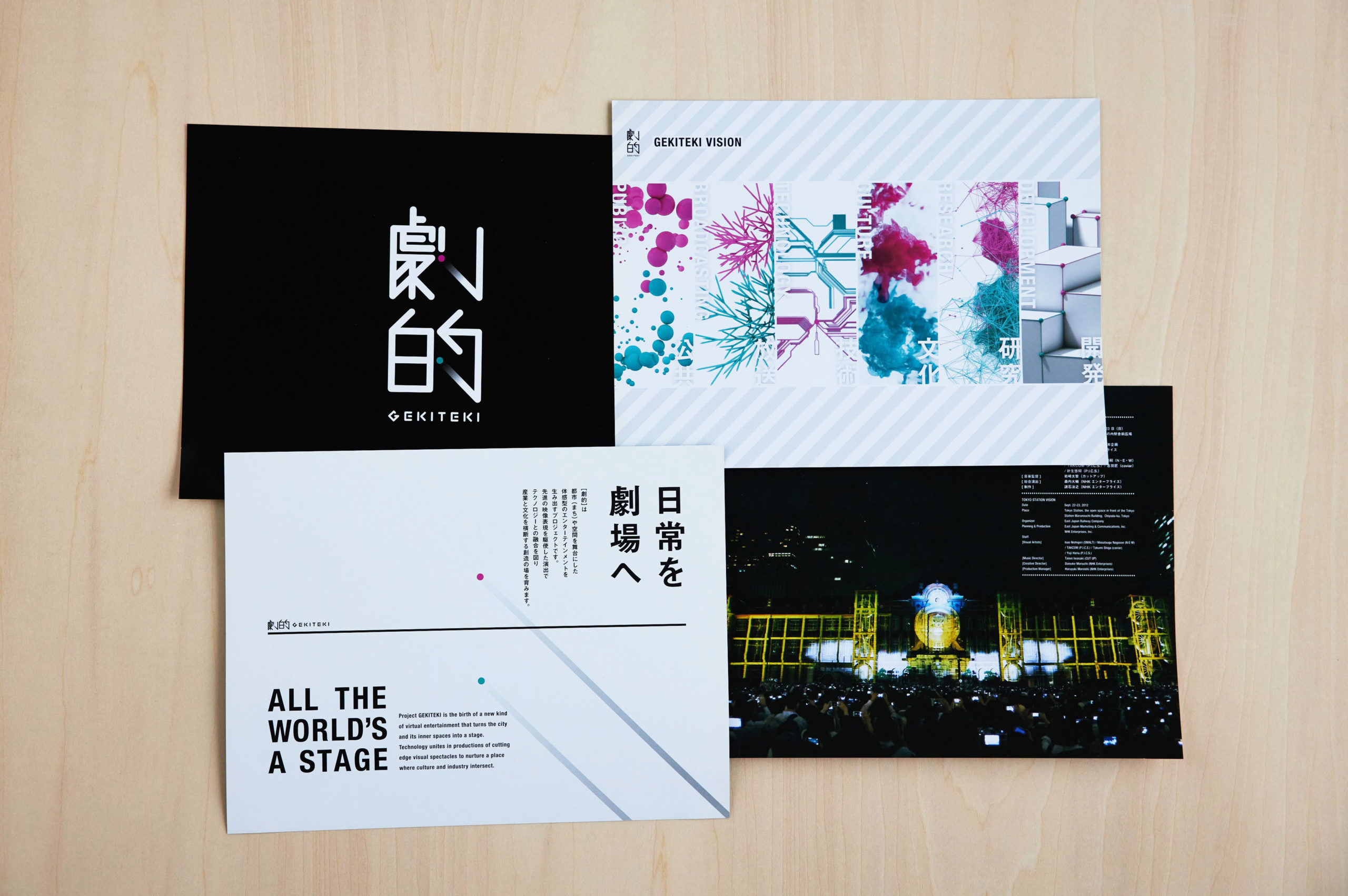 「劇的」パンフレット / 2012